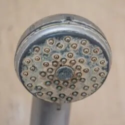 Hard Water Scale on Shower Head contact Integraflow